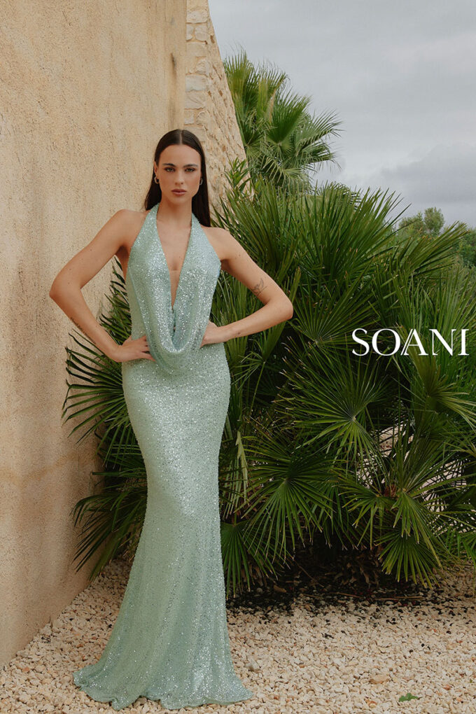 Soani