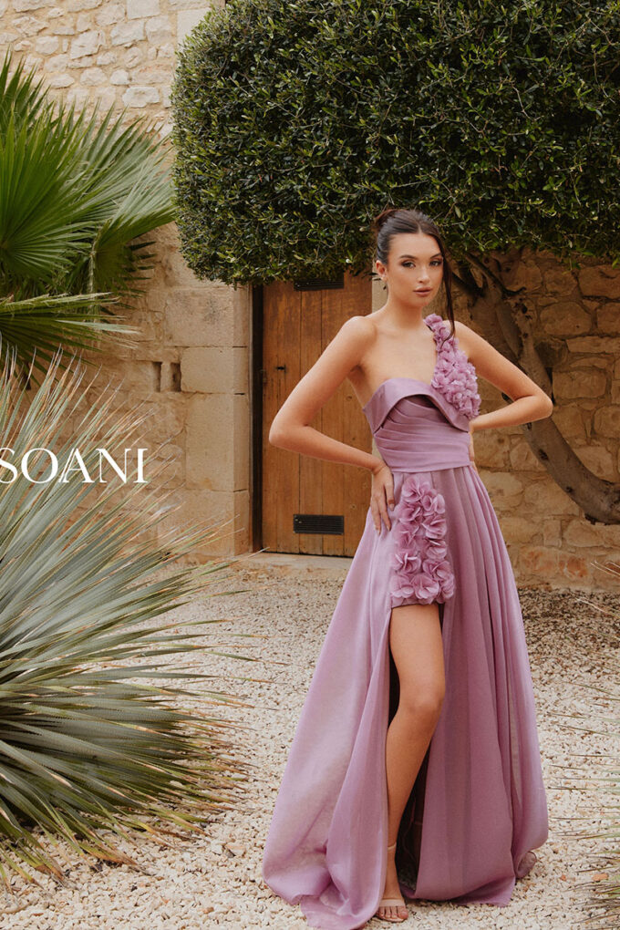 Soani