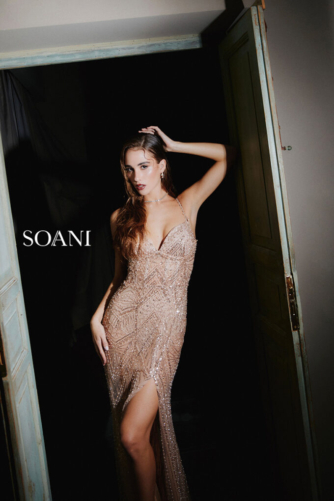 Soani