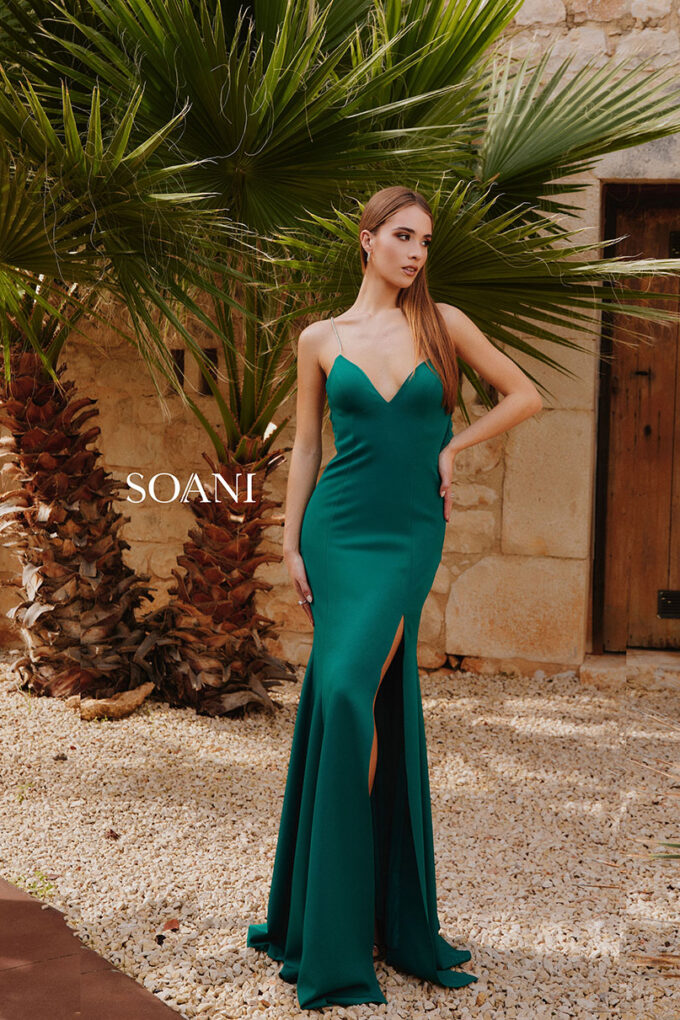 Soani